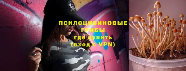 тгк Арсеньев