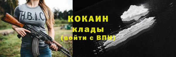 тгк Арсеньев