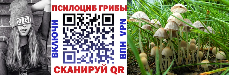 Псилоцибиновые грибы прущие грибы  купить наркоту  Ленинск 